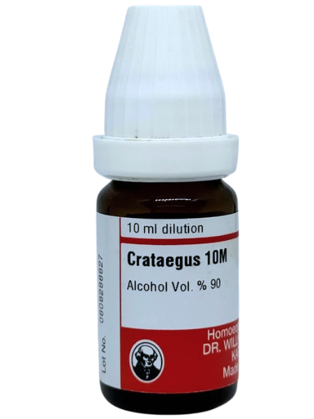 Crataegus Oxyacantha | DAR No: 21-350(H)-017 – Dr. Willmar Schwabe Germany (Original Homeopathic Medicine)