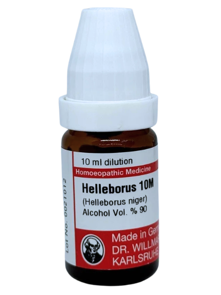 Helleborus Niger – Mother Tincture | Homeopathic Remedy for Mental Dullness, Hydrocephalus & Nervous Disorders