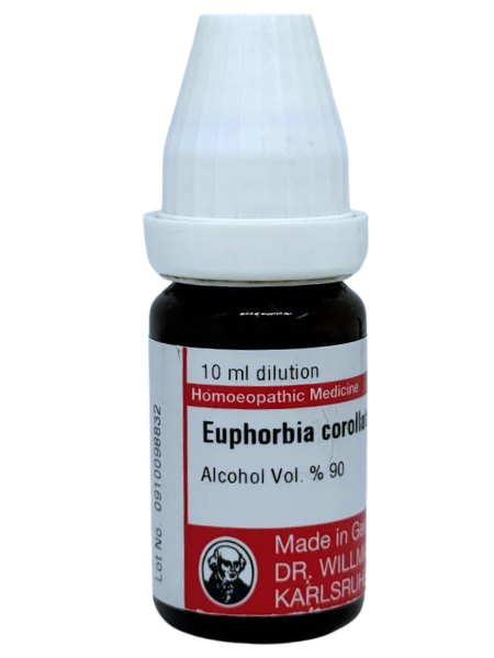 Euphorbia – Mother Tincture | Homoeopathic Remedy for Skin Disorders, Warts & Inflammation