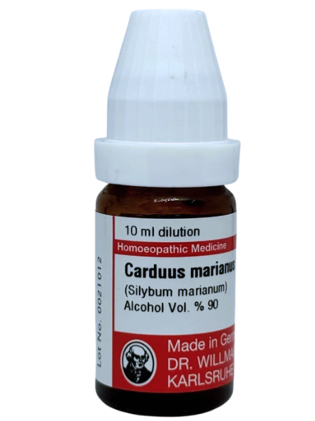 Carduus Marianus | DAR No: 21-325(H)-017 – Dr. Willmar Schwabe Germany (Original Homeopathic Medicine)