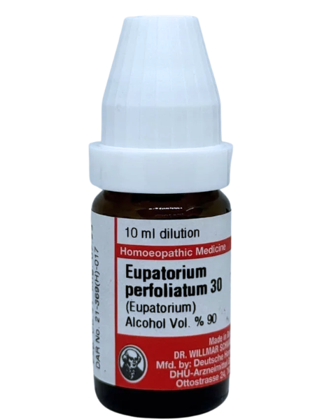 Eupatorium Perfoliatum | DAR No: 21-369(H)-017 – Dr. Willmar Schwabe Germany (Original Homeopathic Medicine)