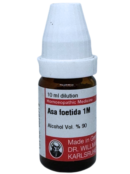 Asa Foetida | DAR No: 21-299(H)-017 – Dr. Willmar Schwabe Germany (Original Homeopathic Medicine)