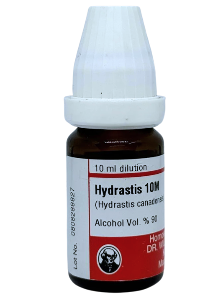 Hydrastis Canadensis – Mother Tincture | Homoeopathic Remedy for Mucus Membrane Disorders, Chronic Colds & Digestive Weakness