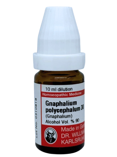 Gnaphalium Polycephalum – Mother Tincture | Homoeopathic Sciatica & Nerve Pain Relief Medicine