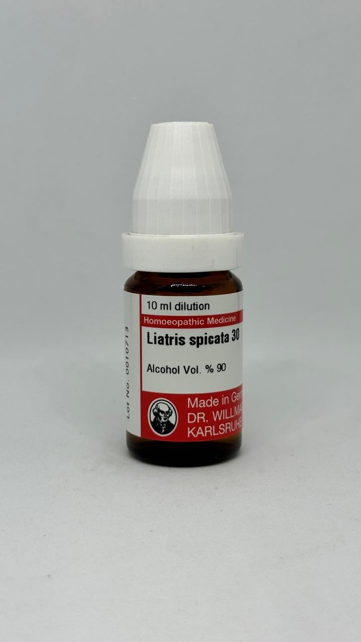 Liatris Spicata – Mother Tincture | Homoeopathic Remedy for Kidney Health, Edema & General Debility