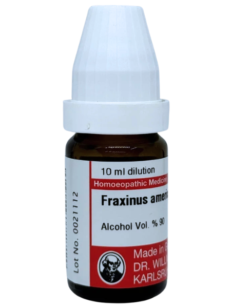 Fraxinus Americana – Mother Tincture | Homoeopathic Uterine Tonic for Fibroids, Prolapse & Menstrual Disorders