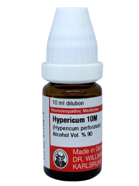 Hypericum Perforatum – Mother Tincture | Homeopathic Nerve Injury & Pain Relief Remedy