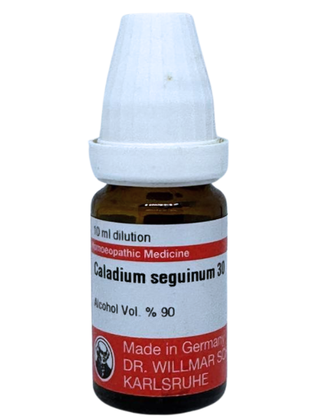 Caladium Seguinum | DAR No: 21-320(H)-017 – Dr. Willmar Schwabe Germany (Original Homeopathic Medicine)