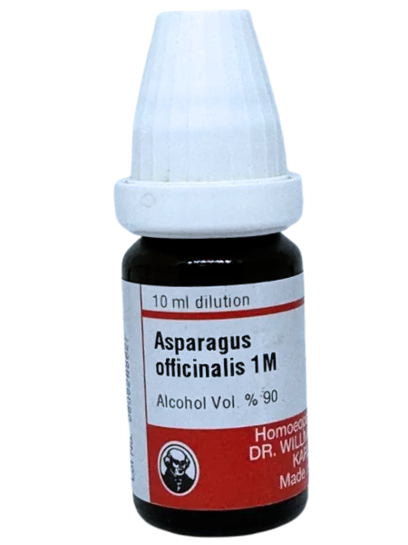 Asparagus – Mother Tincture | Homoeopathic Remedy for Kidney Disorders, Urinary Problems & Heart Weakness