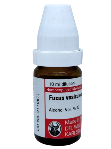 Fucus Vesiculosus – Mother Tincture | Homoeopathic Remedy for Obesity, Thyroid Dysfunction & Metabolism Boost