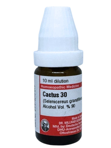 Cactus Grandiflorus – Mother Tincture | Homoeopathic Remedy for Heart Problems, Chest Pain & Circulatory Disorders
