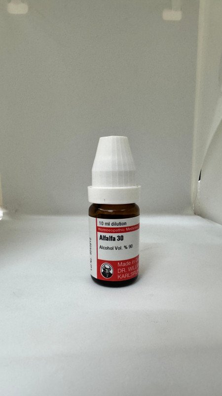 Alfalfa – Mother Tincture | Natural Tonic for Appetite, Energy & Weight Gain