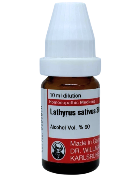 Lathyrus Sativus – Mother Tincture | Homoeopathic Remedy for Lower Limb Paralysis & Spinal Cord Weakness