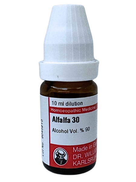 Alfalfa | DAR No: 21-285(H)-017 – Dr. Willmar Schwabe Germany (Original Homeopathic Medicine)