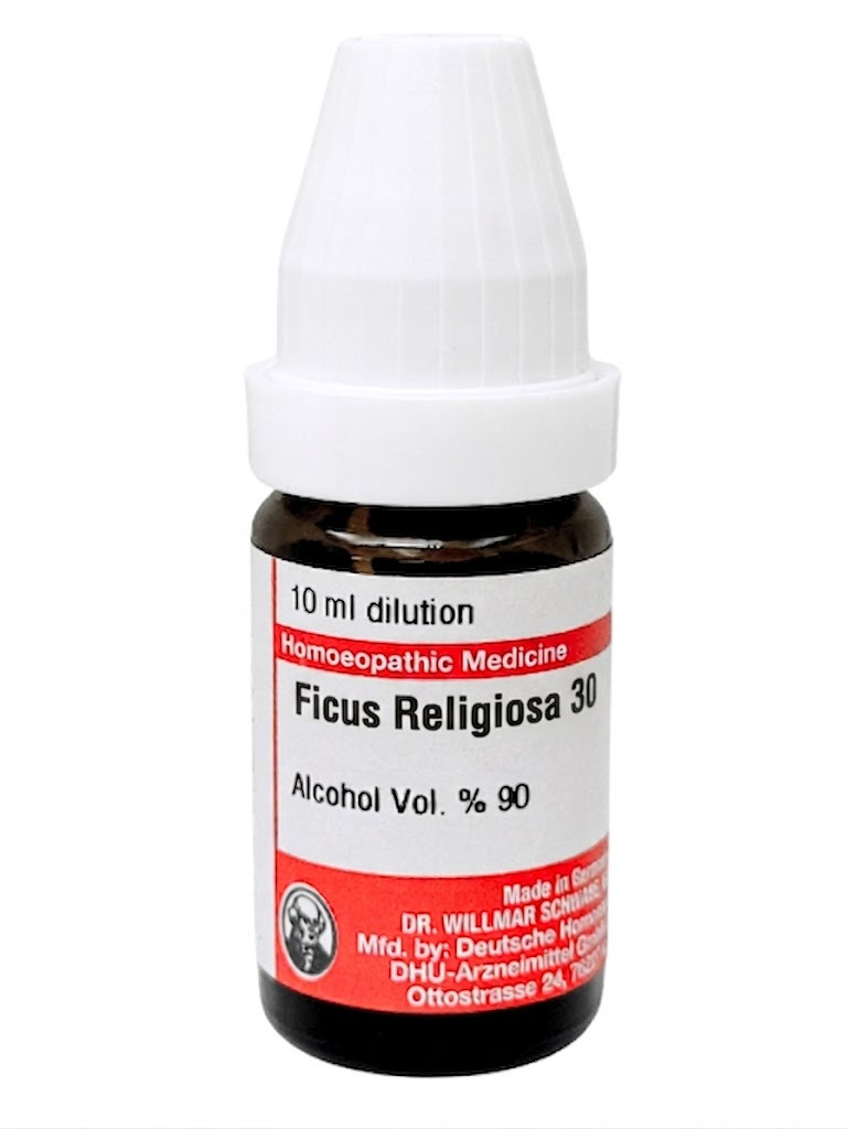 Ficus Religiosa | DAR No: 21-371(H)-017 – Dr. Willmar Schwabe Germany (Original Homeopathic Medicine)