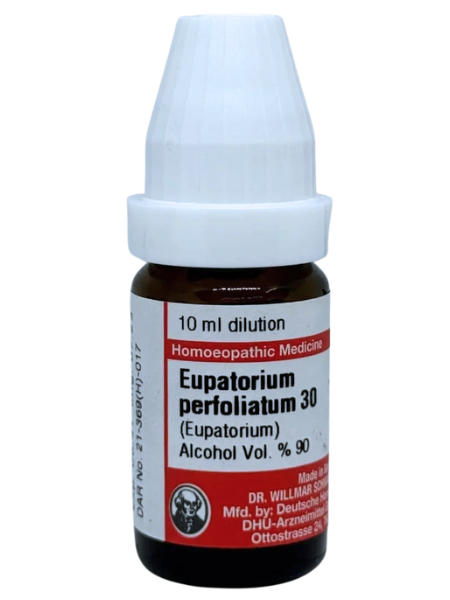 Eupatorium Perfoliatum – Mother Tincture | Homoeopathic Remedy for Fever, Bone Pain & Dengue Support