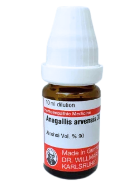 Anagallis Arvensis – Mother Tincture | Homoeopathic Remedy for Skin Diseases, Itching & Eczema