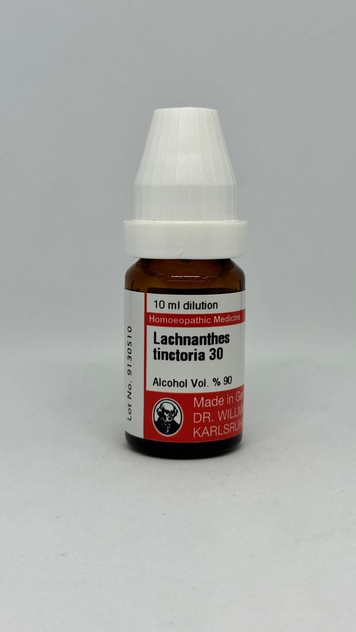 Lachnanthes Tinctoria – Mother Tincture | Homoeopathic Remedy for Stiff Neck, Cervical Pain & Spinal Alignment