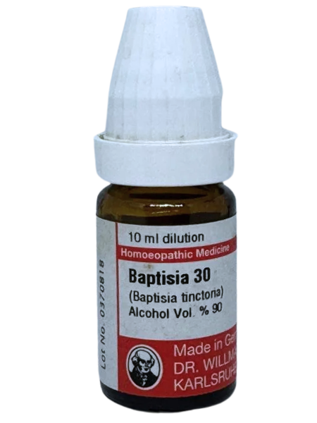 Baptisia Tinctoria | DAR No: 21-308(H)-017 – Dr. Willmar Schwabe Germany (Original Homeopathic Medicine)