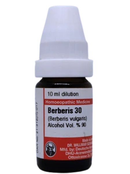 Berberis Vulgaris | DAR No: 21-312(H)-017 – Dr. Willmar Schwabe Germany (Original Homeopathic Medicine)