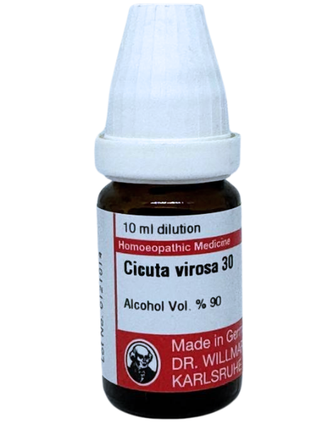 Cicuta Virosa | DAR No: 21-339(H)-017 – Dr. Willmar Schwabe Germany (Original Homeopathic Medicine)